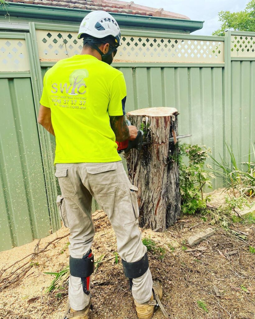 Tree Cutting Sydney
